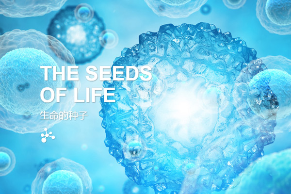 浙江金时期生物技术有限公司